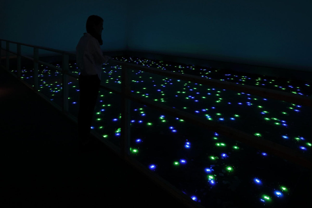 森美術館「STARS」展で展示が始まりました！